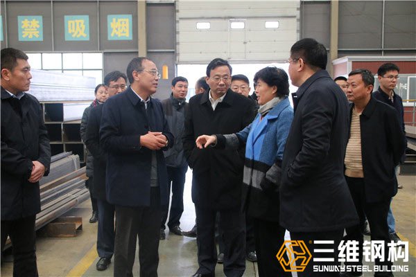 枣庄副市长霍媛媛,滕州市委书记邵士官莅临检查